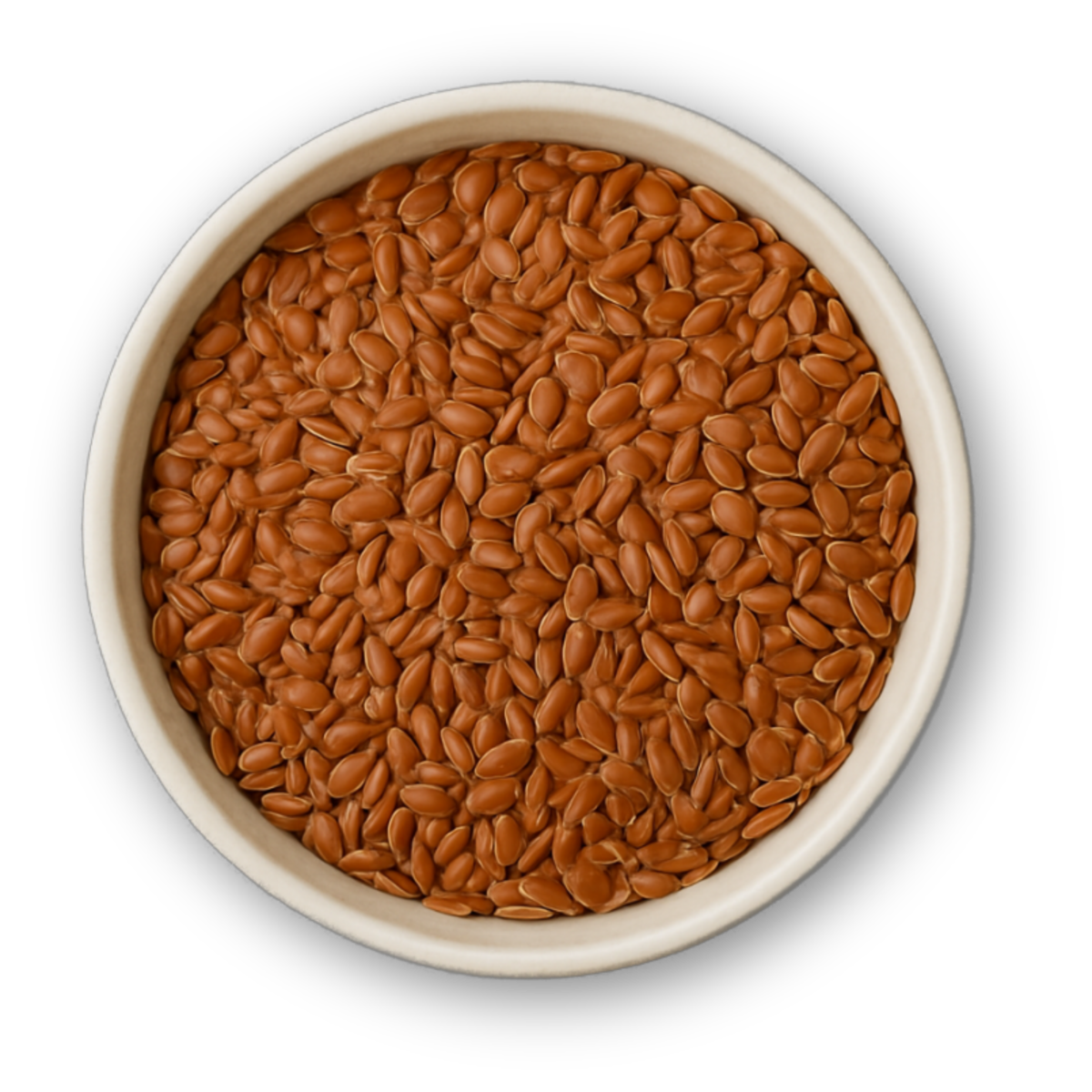 Premium Organic Flax Seeds