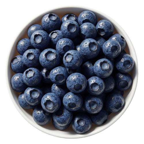 Freshly Picked Blueberry